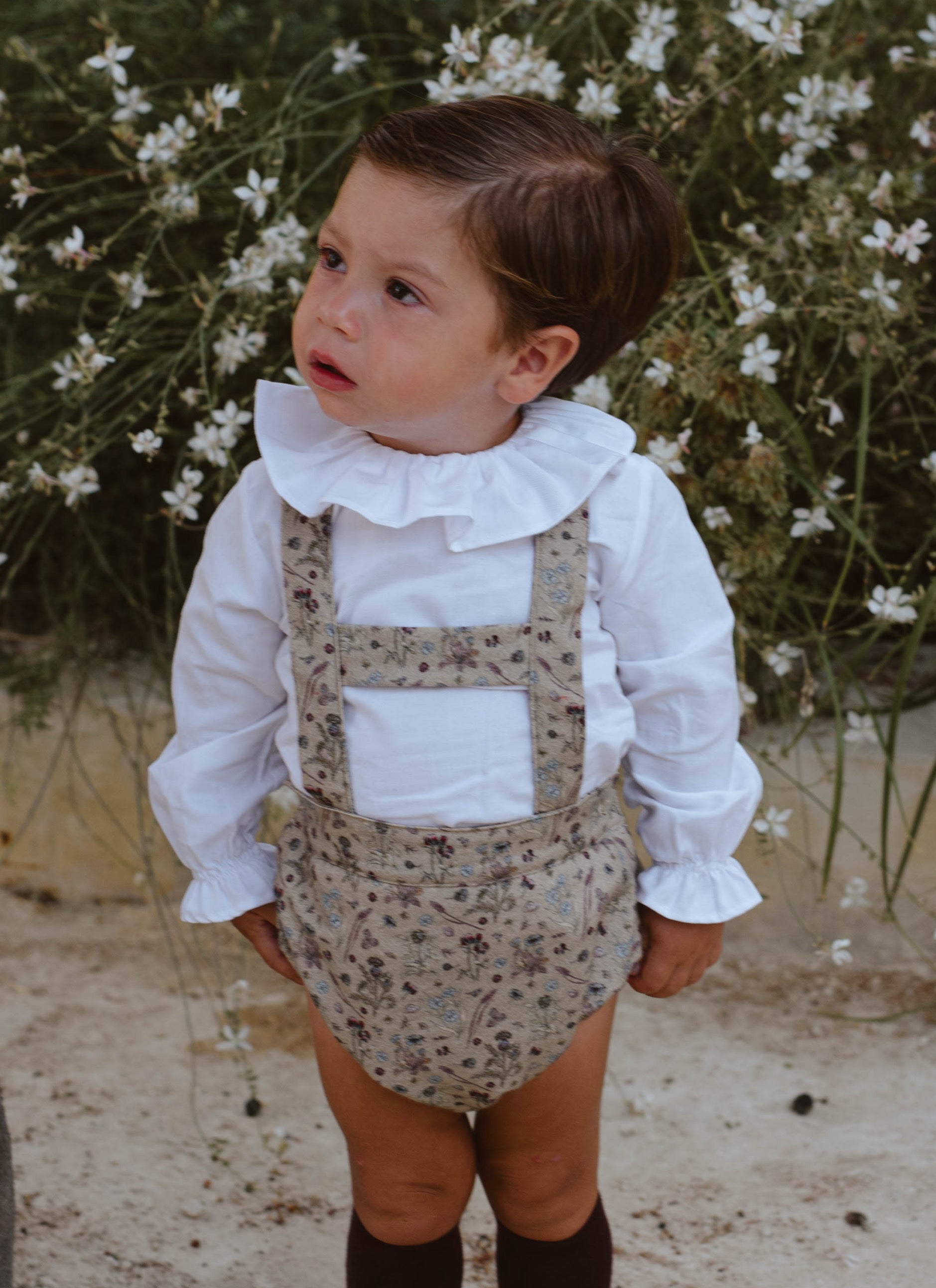 RANA EBRO MORÓN
