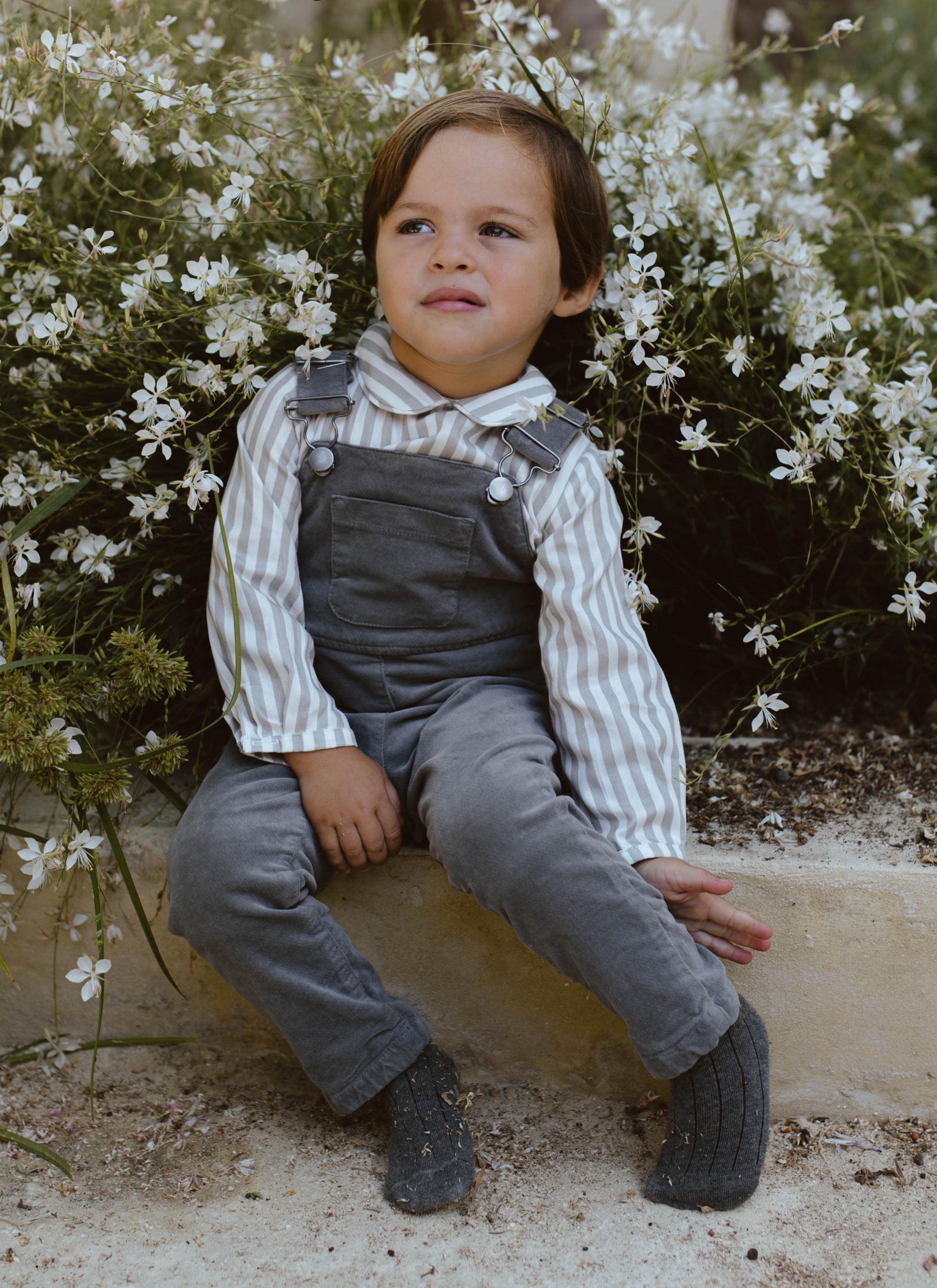 PETO PANTALÓN TERCIOPELO GRIS LOBO