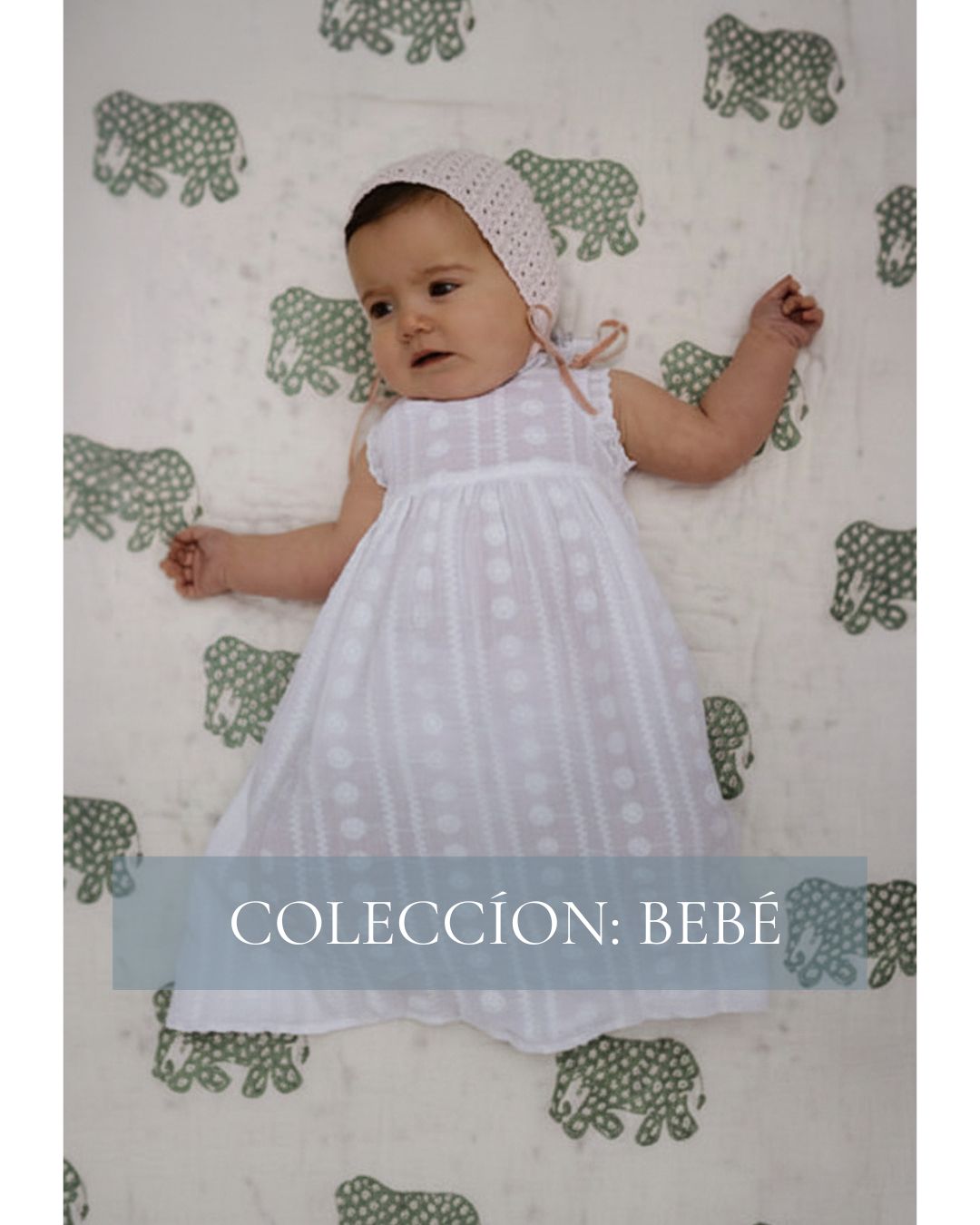 Collection Image
