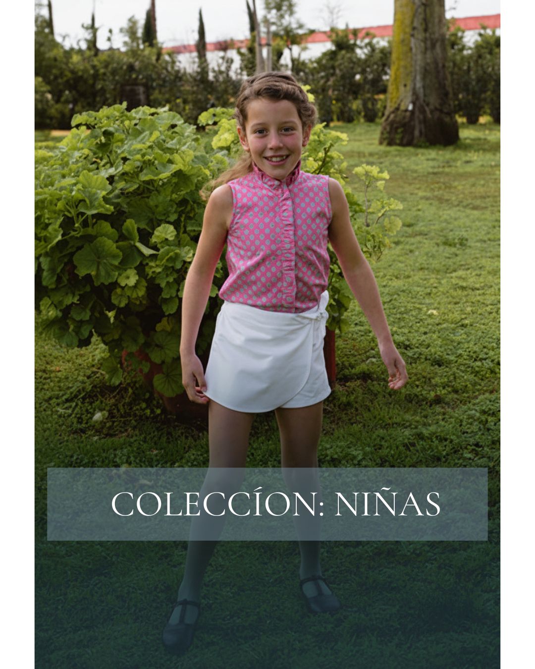 Collection Image