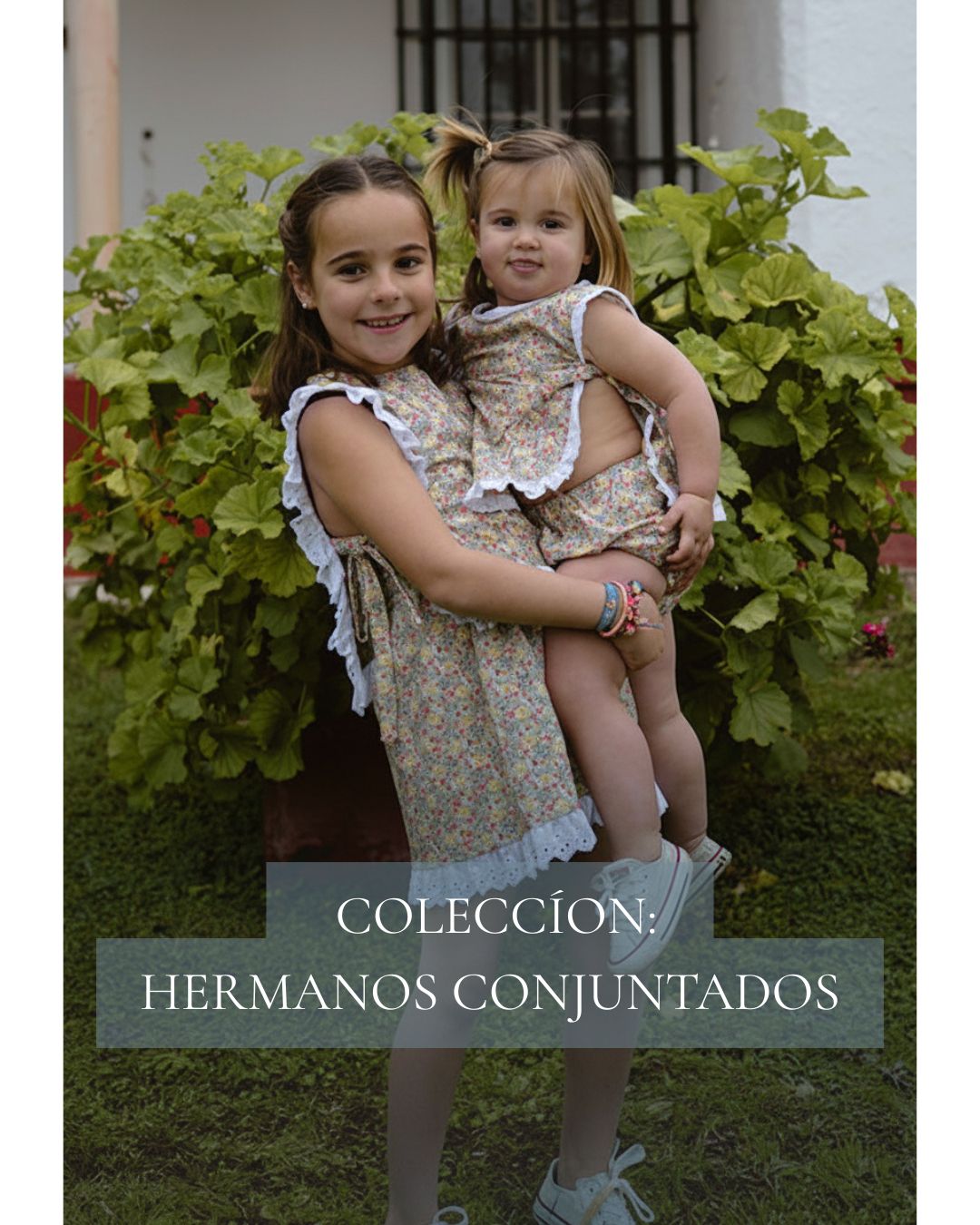 Collection Image