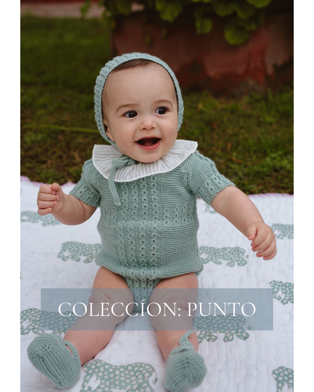 Collection Image