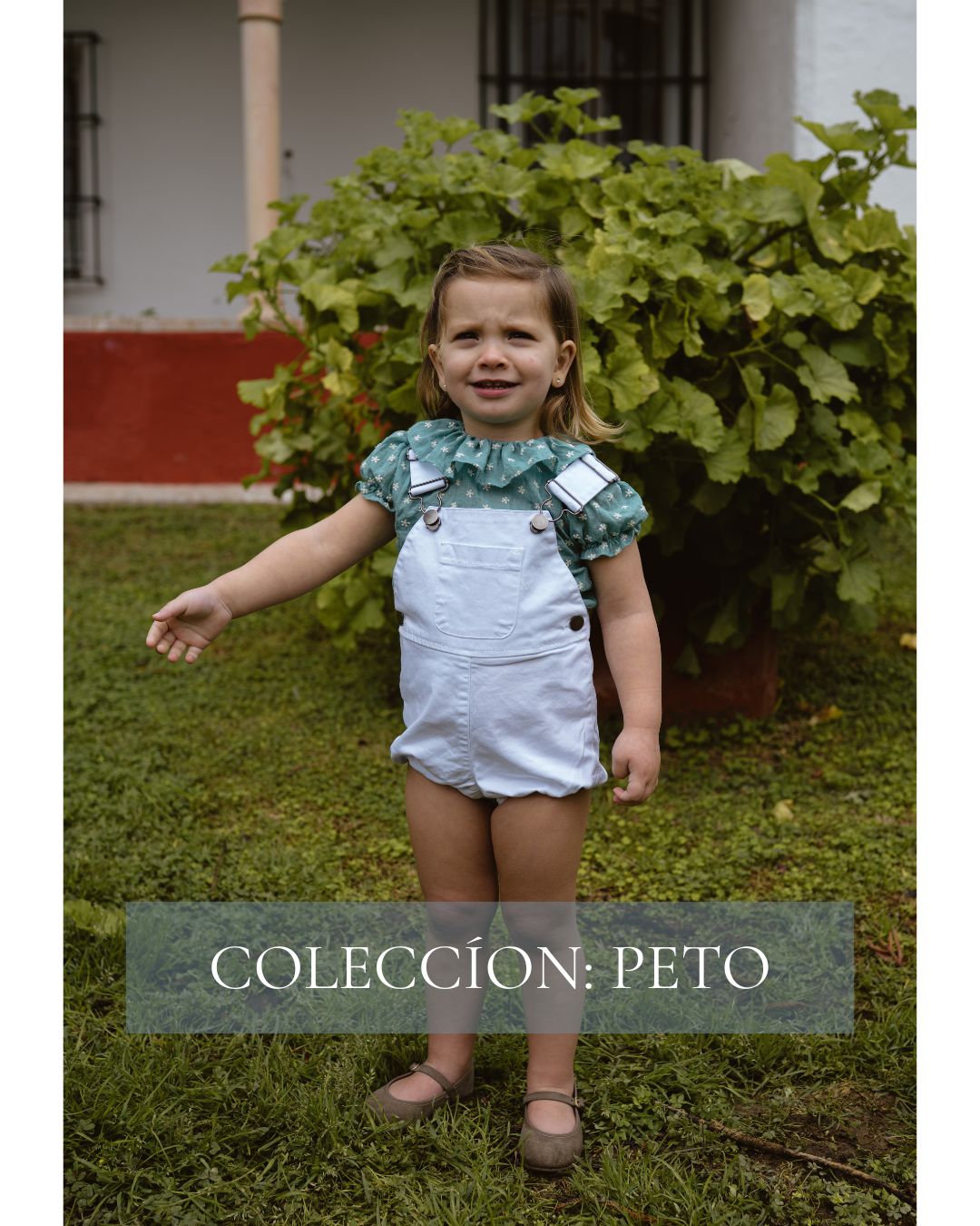 Collection Image
